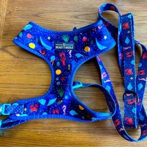 Dog Harness/Leash Set 🐾 — Beast & Buckle